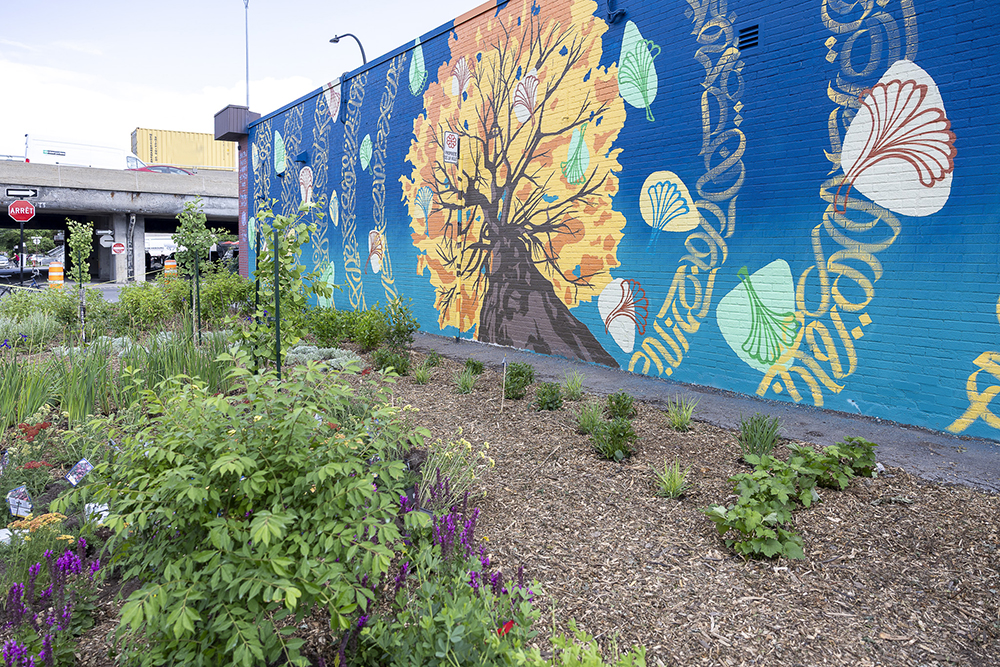 Un espace qui a été récemment converti en jardin de plantes, devant un mur coloré de Montréal
Photo de Manh Cuong Le sur Pexels